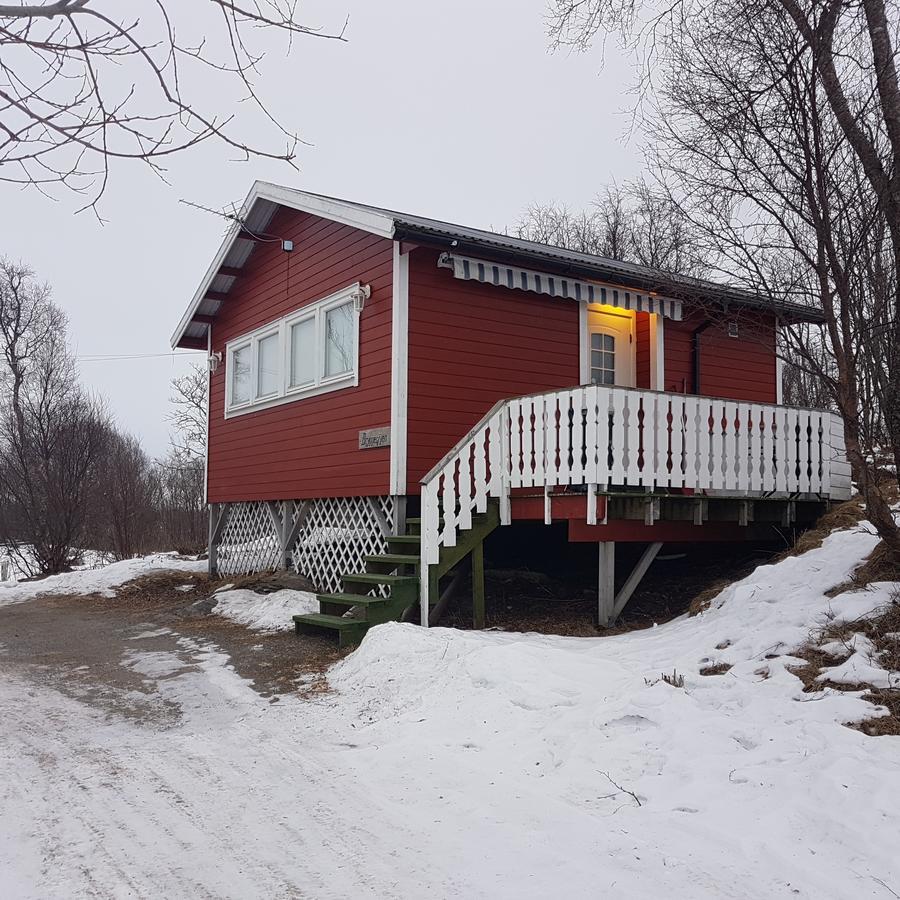 Camp Saltstraumen-Elvegard Hotel Bodo Exterior photo