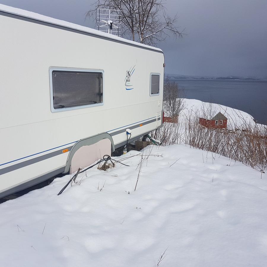 Camp Saltstraumen-Elvegard Hotel Bodo Exterior photo